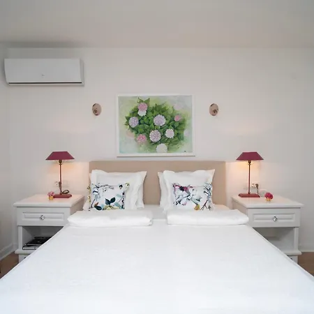 Nomad Guest house