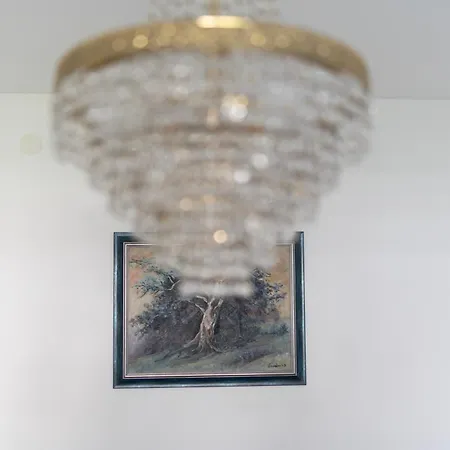 Guest house Nomad