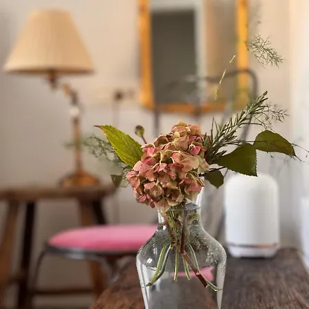 Nomad Gasthuis Mostar