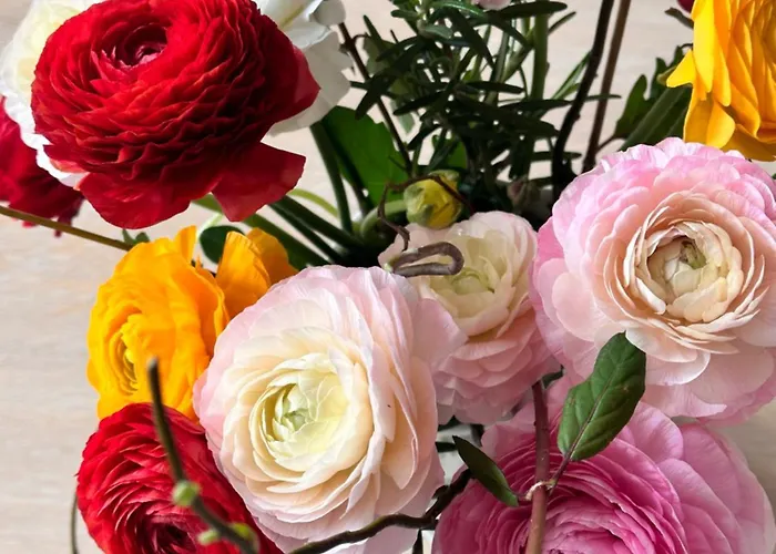 Nomad Casa de hóspedes