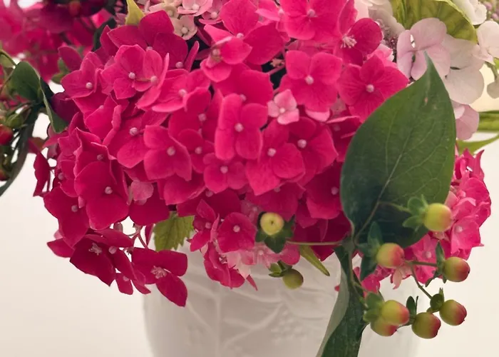 Casa de hóspedes Nomad Mostar