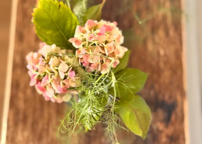 Casa de hóspedes Nomad Mostar